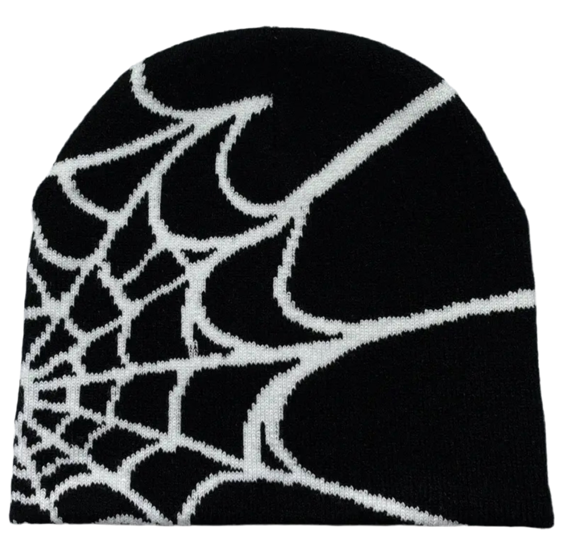 Spider Web Beanie