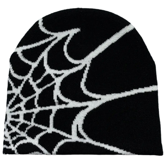 Spider Web Beanie